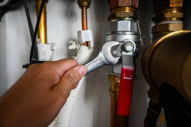 Best Clogged Drain Plumber  in Joseph City, AZ